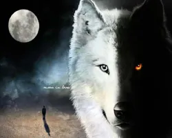 Wolves of Twilight
