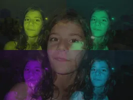 Ana's Diary