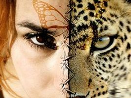 What your Spirit Animal means What your Spirit Animal means