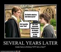 Harry Potter Characters on Facebook Harry Potter Characters on Facebook