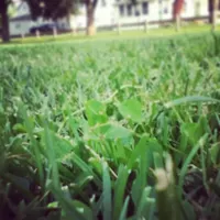 Outcast (1)