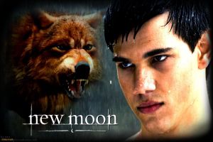 Silver Sky (Jacob Black Love Story) Silver Sky (Jacob Black Love Story)
