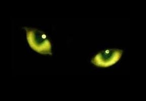 Ghost Stories Ghost Stories