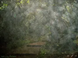 Acids Rain Acids Rain
