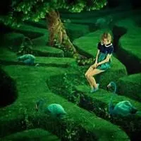 Maze In wonderland
