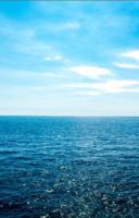 Salt Water Salt Water