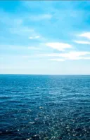 Salt Water Salt Water