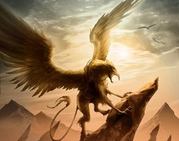 Griffin Girl Griffin Girl