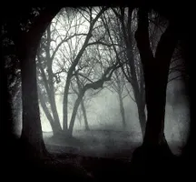 Why Don't You Come and Find Me? Why Don't You Come and Find Me?