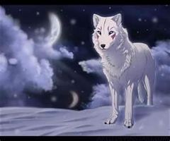 WOLVES WOLVES