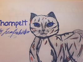 Thornpelt's Journey Thornpelt's Journey