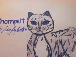 Thornpelt's Journey Thornpelt's Journey