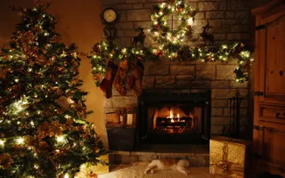Best Christmas I ever had