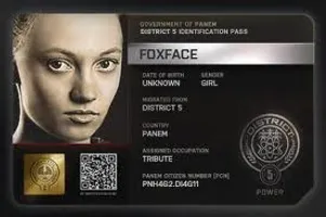 Foxfaces story Foxfaces story