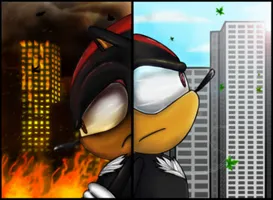 Shadow x reader: How I feel about you... Shadow x reader: How I feel about you...