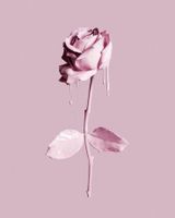 Bereavement