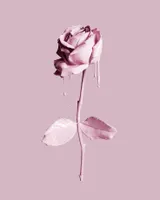 Bereavement