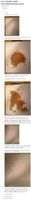 For all you map maker Imgurites, this post is for you... | Writing inspiration, Book writing tips, Writing tips For all you map maker Imgurites, this post is for you... | Writing inspiration, Book writing tips, Writing tips