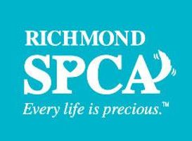 Adopt - Richmond SPCA Adopt - Richmond SPCA