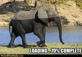 Funny Pictures @ WeirdNutDaily - Elephant Loading Funny Pictures @ WeirdNutDaily - Elephant Loading