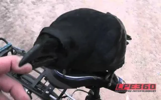 Pet crow on bicycle ride Pet crow on bicycle ride