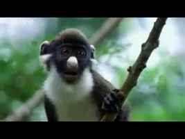 You Will Laugh Till You Pee You Will Laugh Till You Pee