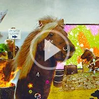 Three | The Pony mixer - Mountain Cheval
