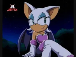 Knuckles & Rouge Knuckles & Rouge