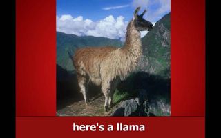 The Llama Song The Llama Song