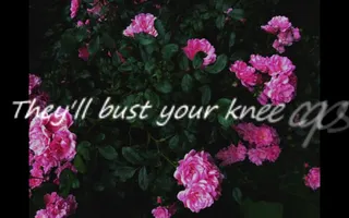 Pomplamoose - Bust Your Kneecaps | Lyrics Pomplamoose - Bust Your Kneecaps | Lyrics