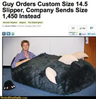 Funny Pictures @ WeirdNutDaily - Ginormous Bear Slipper Funny Pictures @ WeirdNutDaily - Ginormous Bear Slipper
