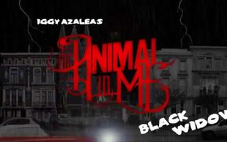 The Animal In Me - Black Widow (Iggy Azalea Cover) "Punk Goes Pop" The Animal In Me - Black Widow (Iggy Azalea Cover) "Punk Goes Pop"