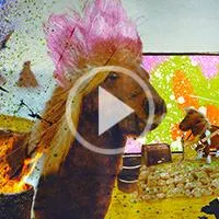 Three | The Pony mixer - Rebellious Ponies everywhere! Three | The Pony mixer - Rebellious Ponies everywhere!