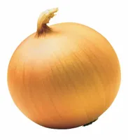 Onions are friends, not food. Onions are friends, not food.