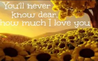 Elizabeth Mitchell - You Are My Sunshine lyrics Elizabeth Mitchell - You Are My Sunshine lyrics