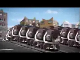 Welcome to Kitty City Welcome to Kitty City
