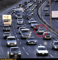 Funny Pictures @ WeirdNutDaily - Something's Not Right on This Freeway Funny Pictures @ WeirdNutDaily - Something's Not Right on This Freeway