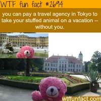 Weirdest things about Japan - WTF fun facts