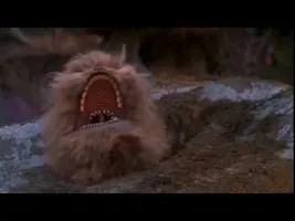 FizzGig Screams FizzGig Screams