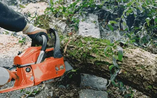 Tree Service Pueblo | Tree Trimming & Removal Tree Service Pueblo | Tree Trimming & Removal