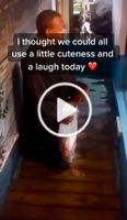 I hope this brought you a smile ❤️ #blacklivesmattter #blm #xyzbca #cuteness #funny #joy #love I hope this brought you a smile ❤️ #blacklivesmattter #blm #xyzbca #cuteness #funny #joy #love