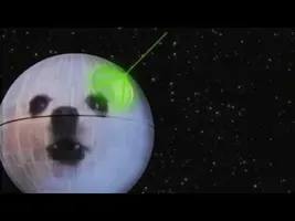 Pomeranian Princesse STAR WARS Pomeranian Princesse STAR WARS