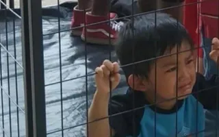 Petition · Justice for sexually abused immigrant children · Change.org Petition · Justice for sexually abused immigrant children · Change.org