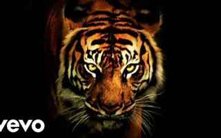 Survivor - Eye Of The Tiger (Audio) Survivor - Eye Of The Tiger (Audio)