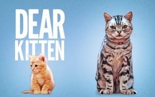 Dear Kitten Dear Kitten