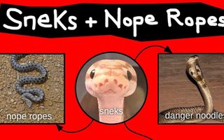 Nope Ropes, Sneks, & Danger Noodles Nope Ropes, Sneks, & Danger Noodles