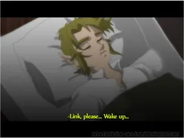 LoZ fic anime shot- please, wake up by Noe-Izumi on DeviantArt