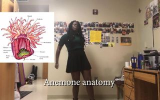 Anemone song Anemone song