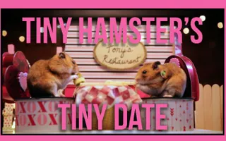 Tiny Hamster's Tiny Date (Ep. 5) Tiny Hamster's Tiny Date (Ep. 5)