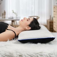 Buy Online Best Memory Foam Pillow | Pillows Online - SleepLabs Buy Online Best Memory Foam Pillow | Pillows Online - SleepLabs